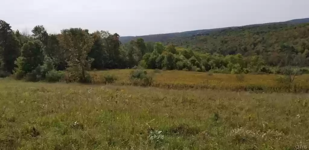 hay field that will soon be a permaculture nut orchard in spencer, ny, just south of the finger lakes